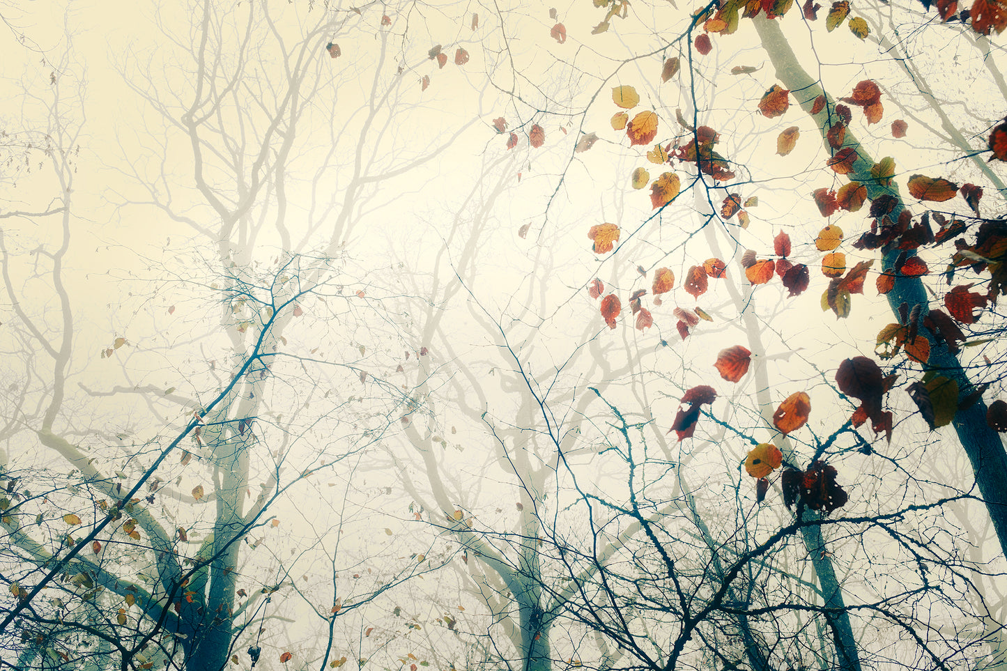 Poser un regard vers le ciel