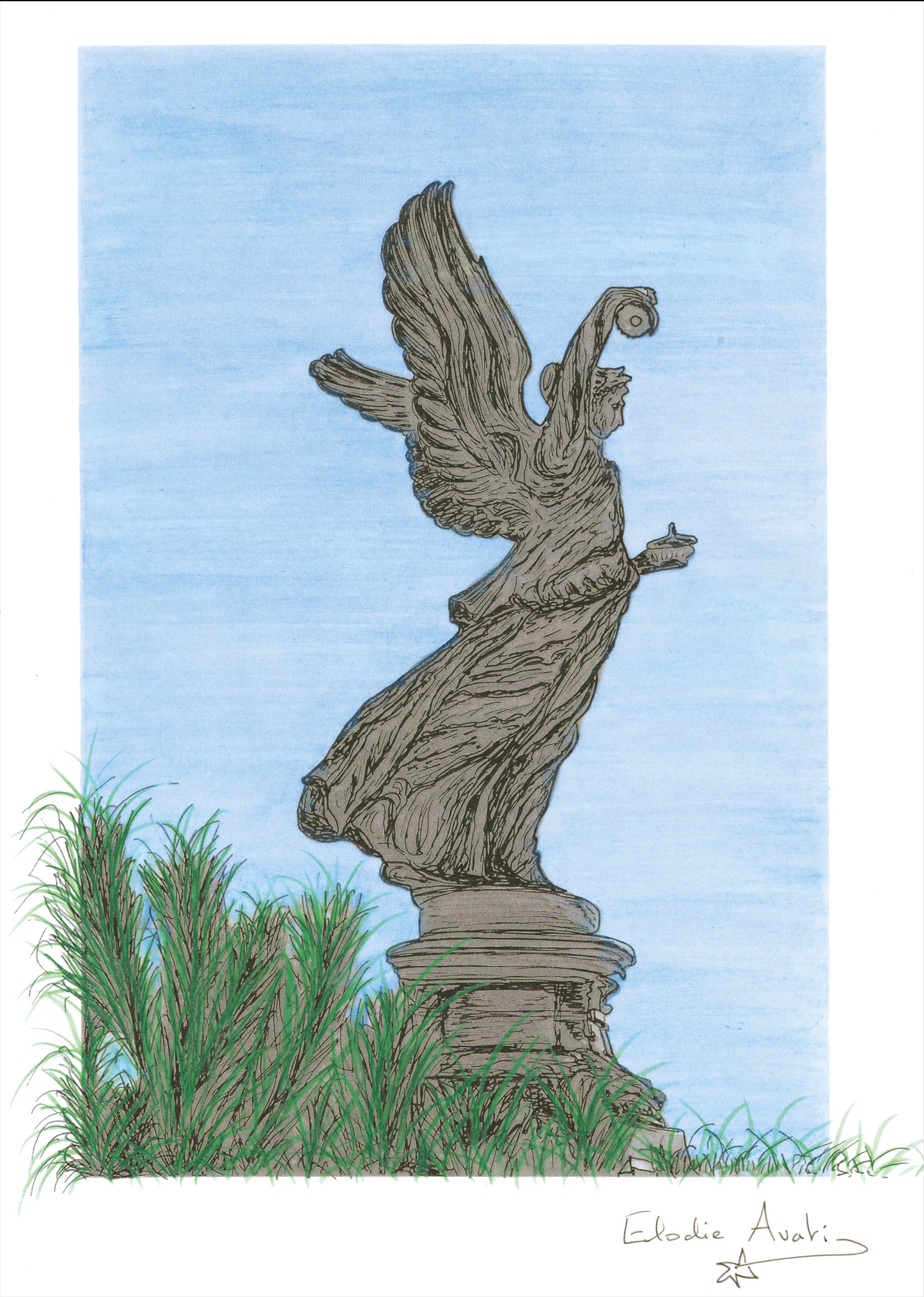 Centernaire - Albert 1st