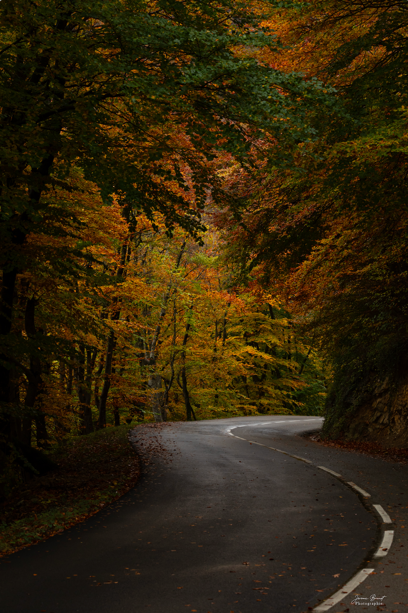 La route du bonheur