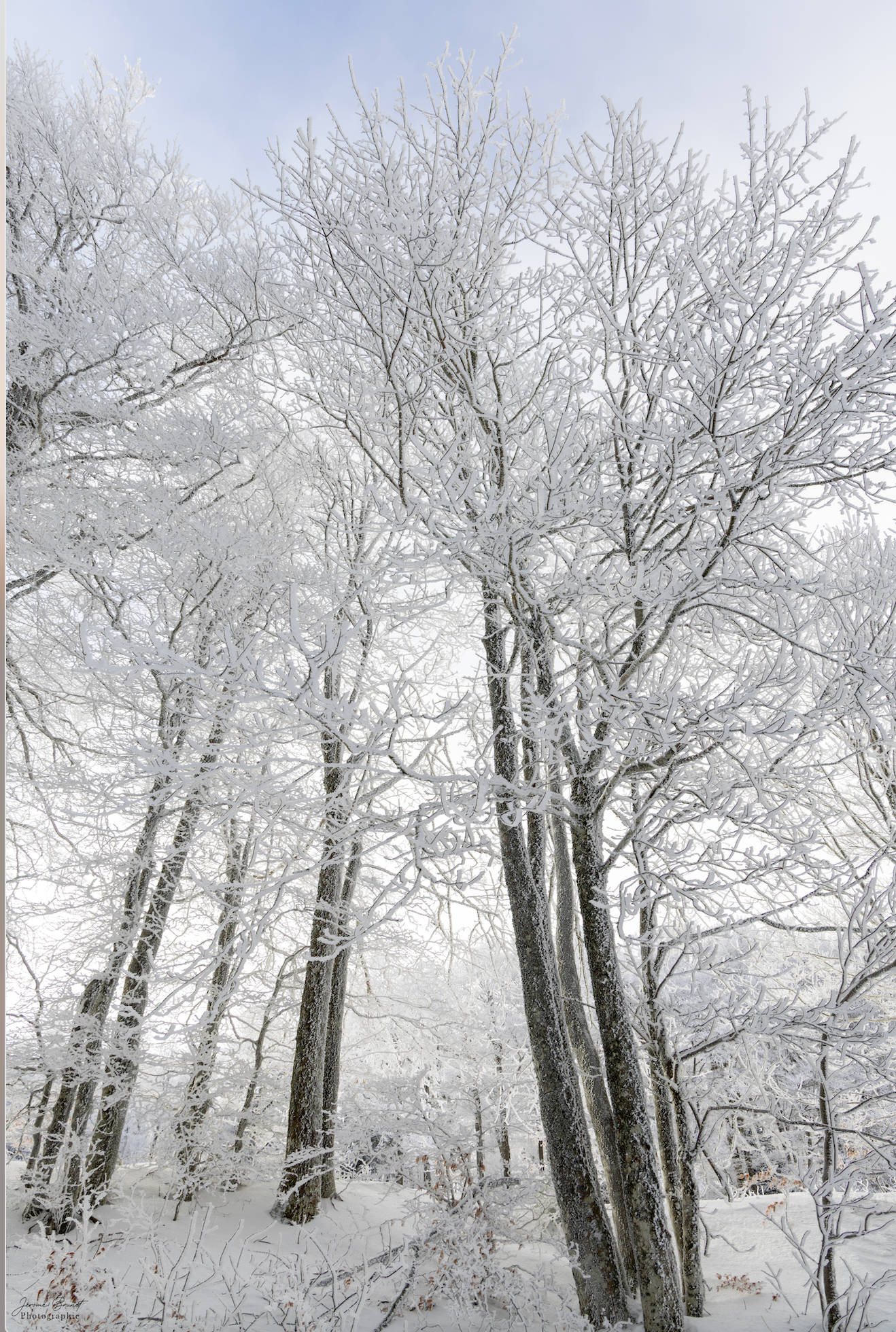 Un hiver glacial