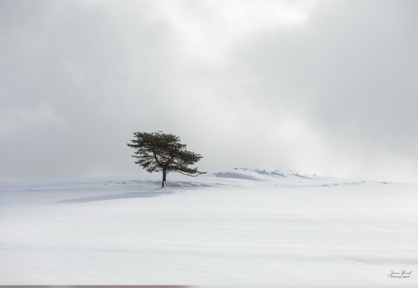 Zenitude