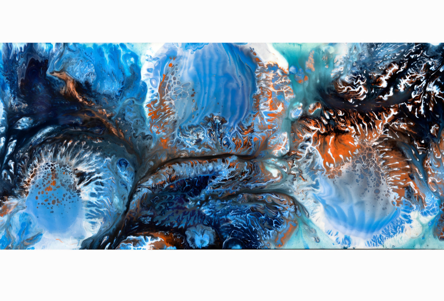 Récif corallien (Coral reef)