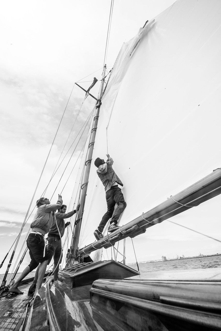 Les Gardiens des Voiles