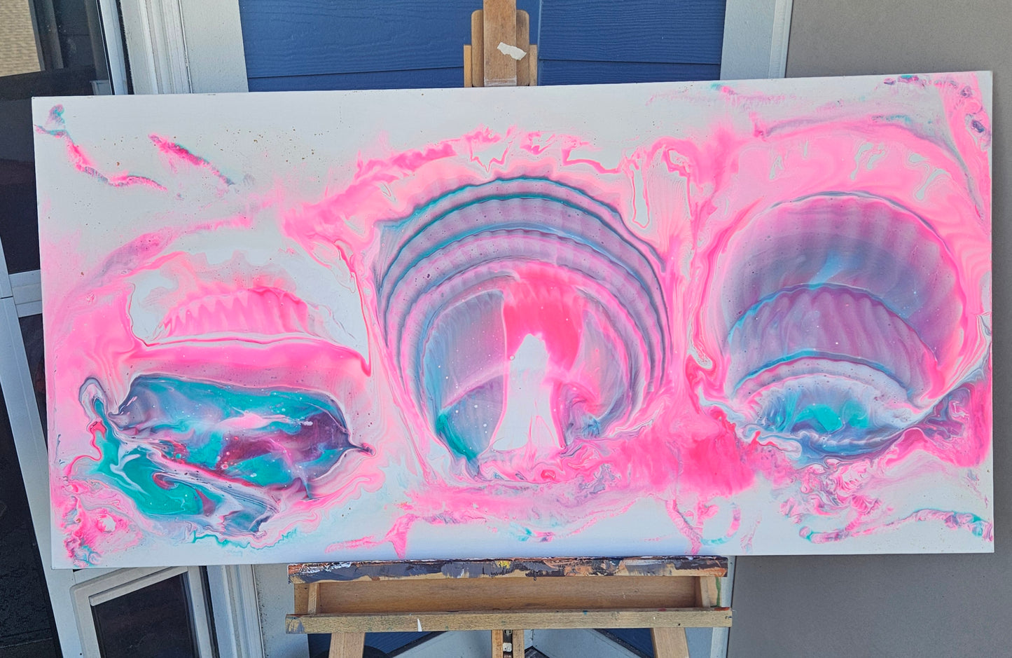 Evolution of a Seashell