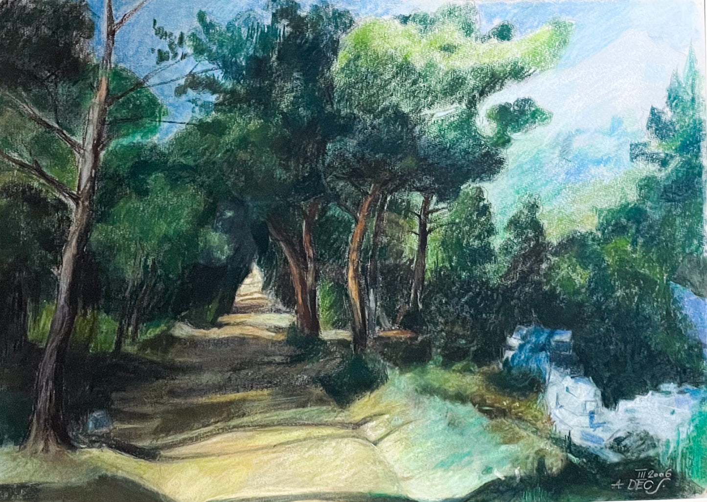 Walk under the Pines