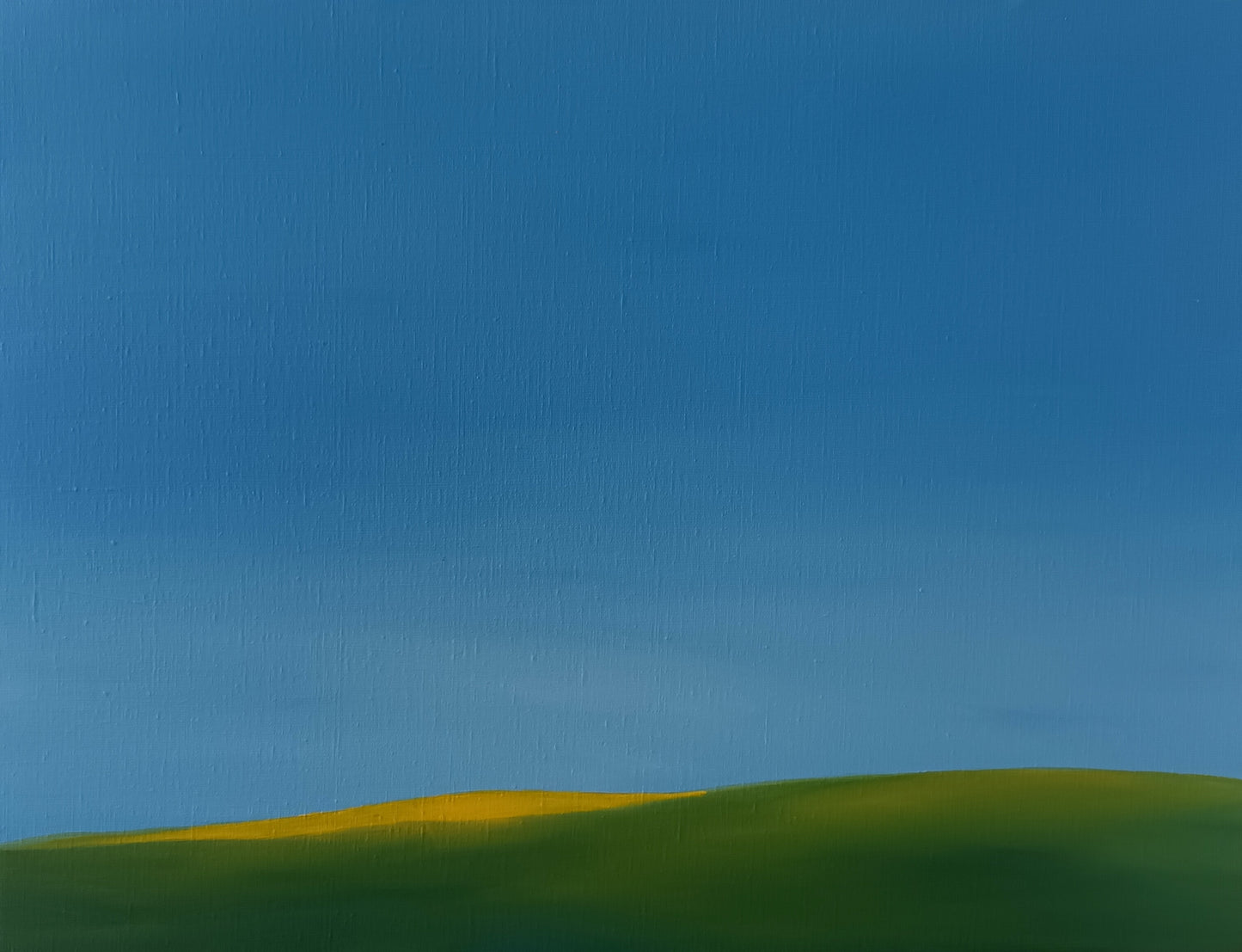 The plain