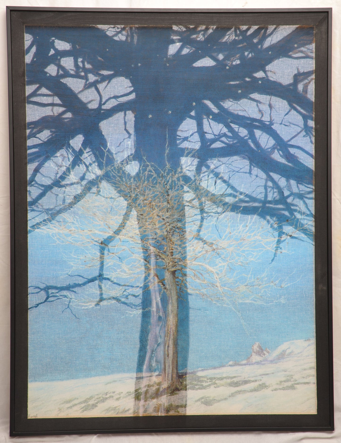 Le mélèze de Larches