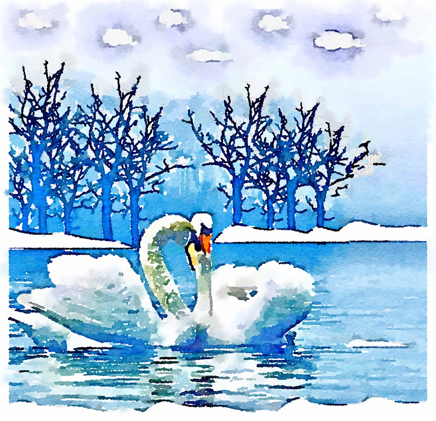 Mute Swans in the winter