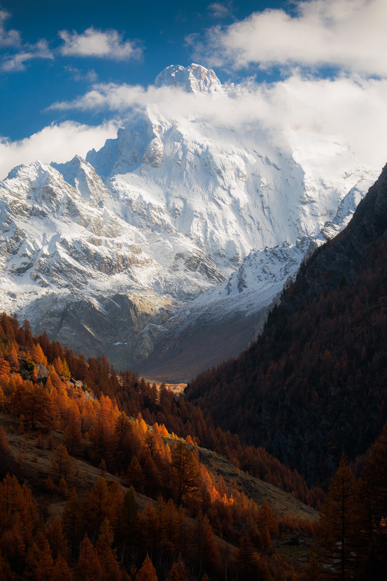 Return from the East