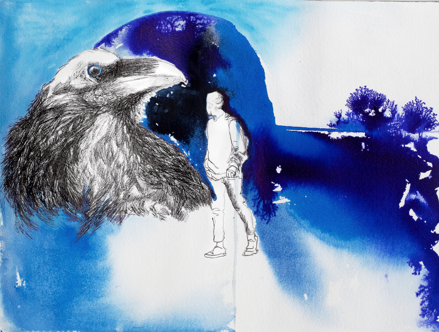 LE DESTIN CORVUS CORONE