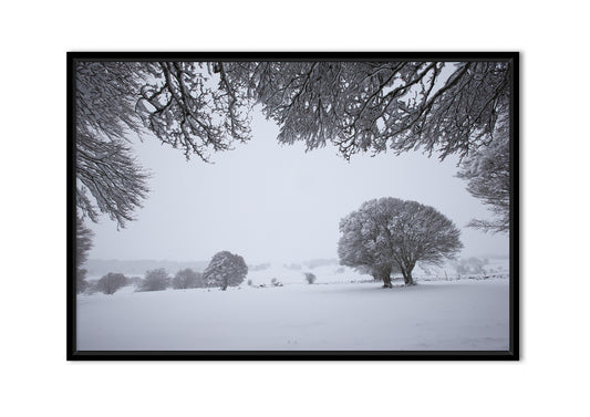 Fenêtre hivernale