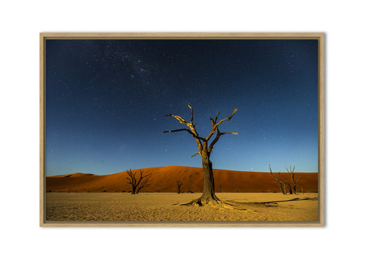 Lever de pleine lune sur le Deadvlei