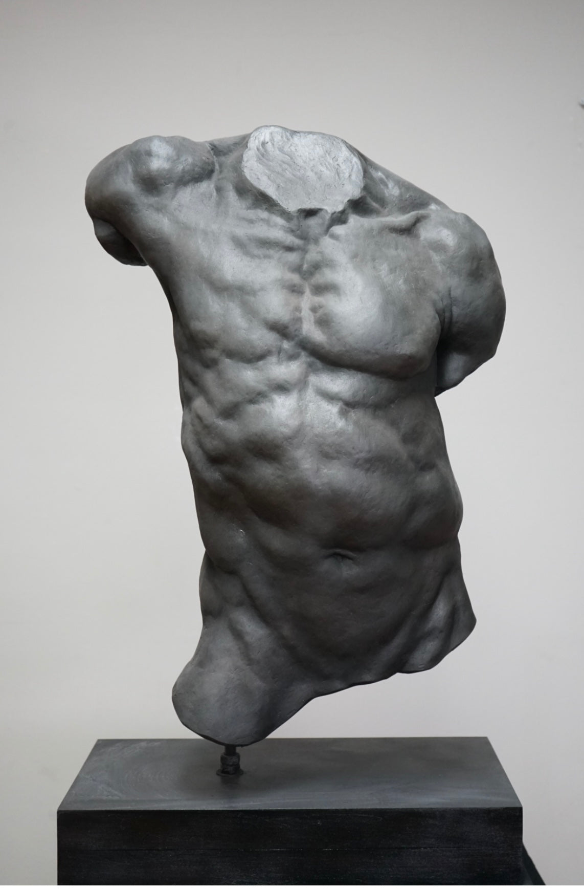 torso masculino