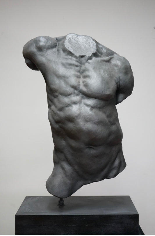 Male Torso