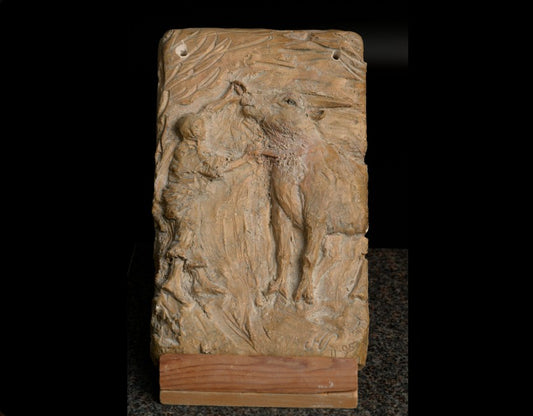 Sacrifice de buffle Toraja