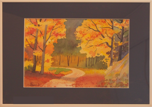 Forêt en automne