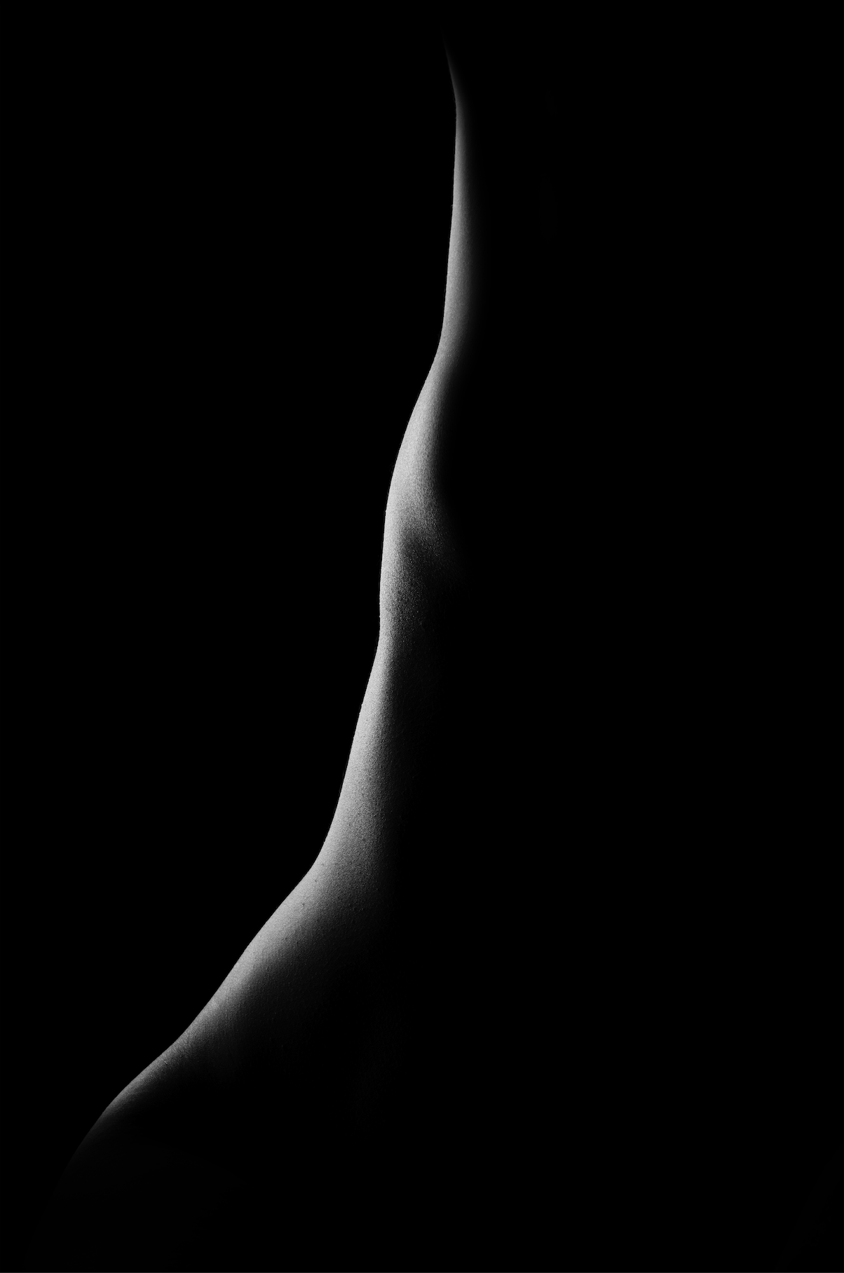 Gabrielle white shadow n°7
