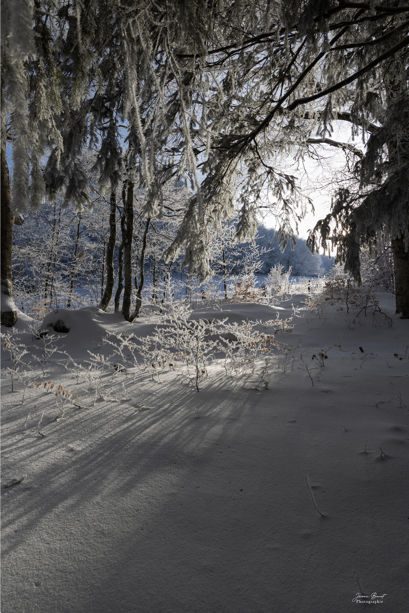 Lueur hivernale