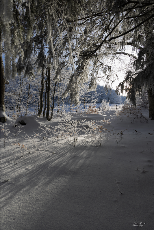Lueur hivernale