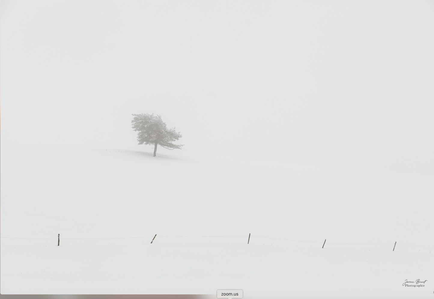 Seul dans le brouillard