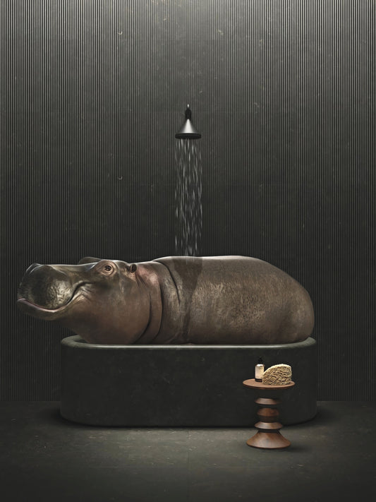 Hippopotamus Bath