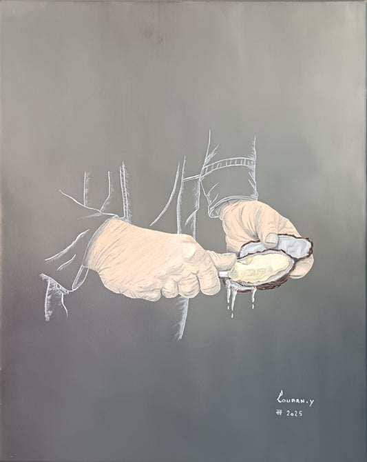 Vuelo del Rafale sobre el Mont Blanc