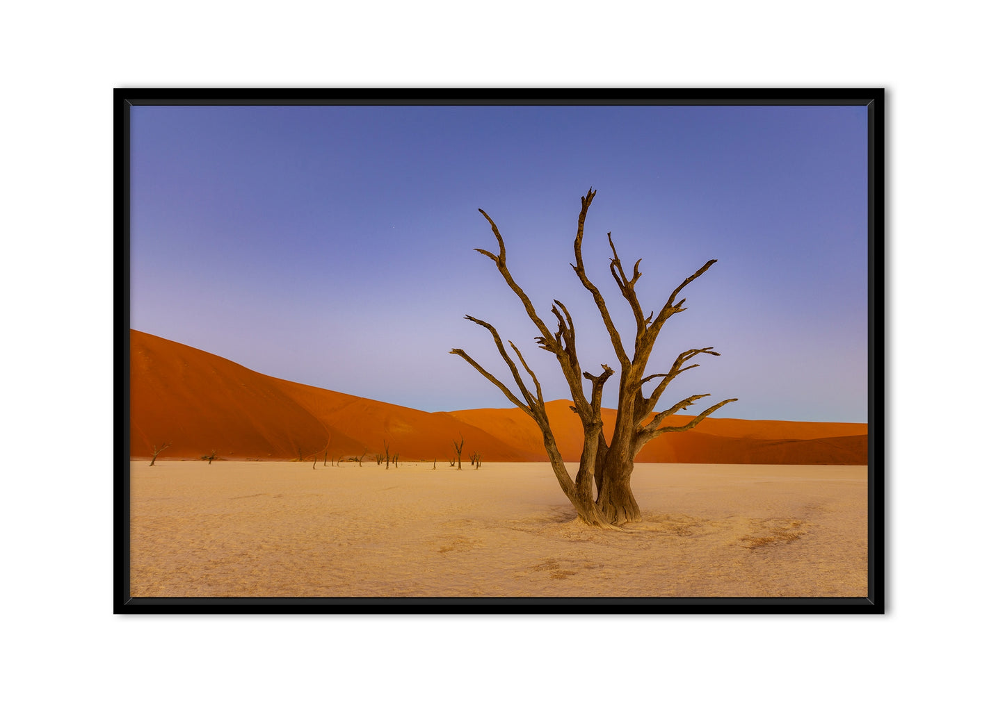 Douce lumière sur le Deadvlei