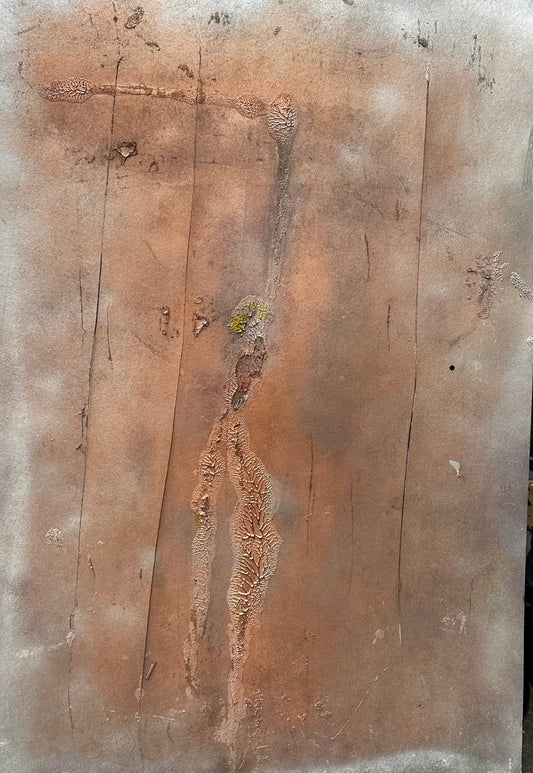 empreinte petit prince