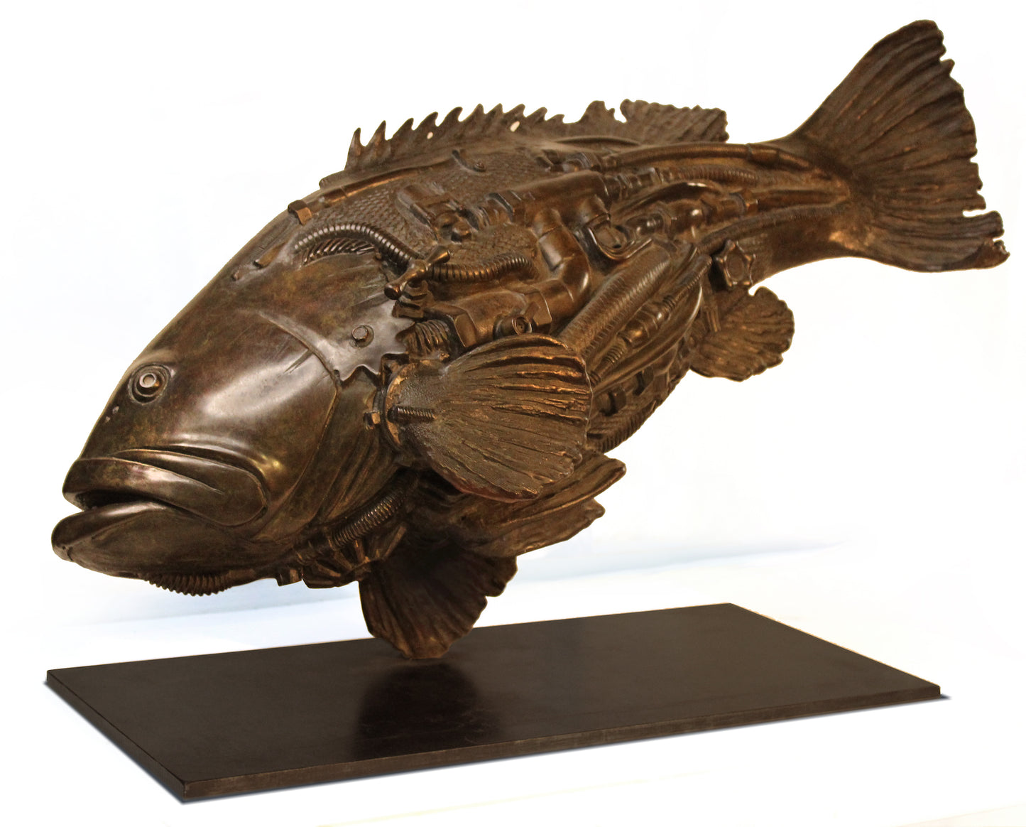 AQUATIC GROUPER 