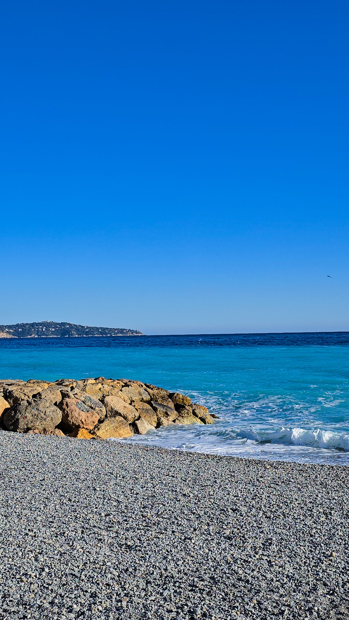 My View in the Morning