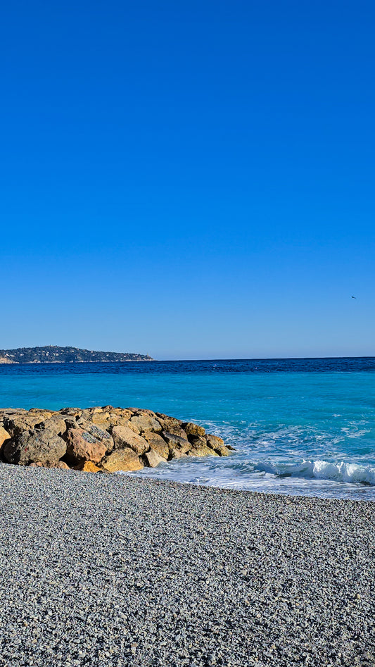 My View in the Morning