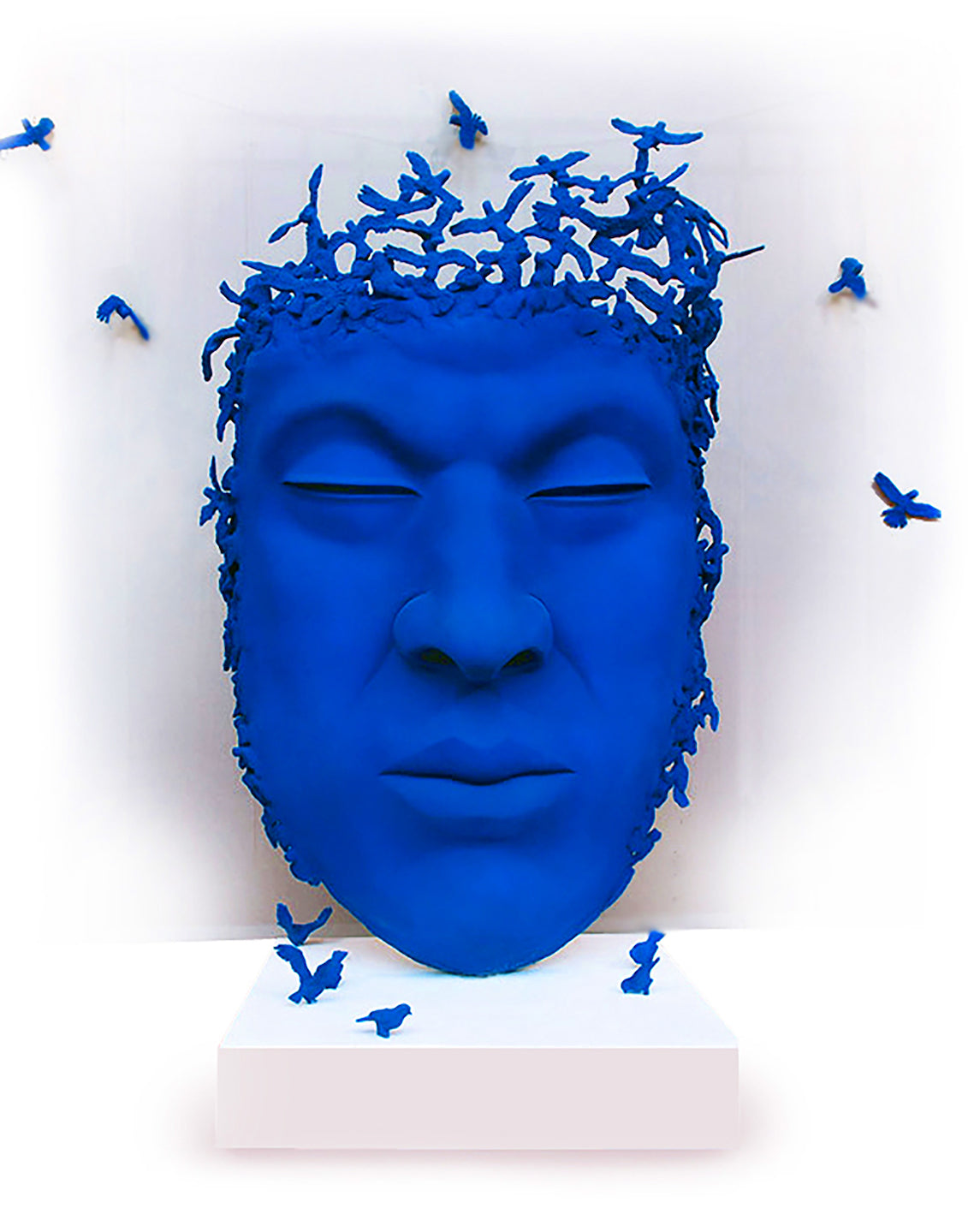 BLUE BIRD THINKER 