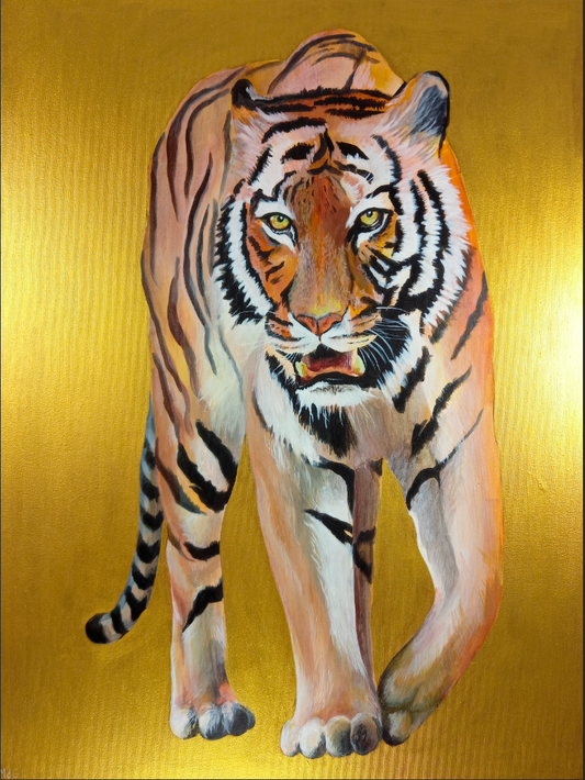 Bengal Tiger