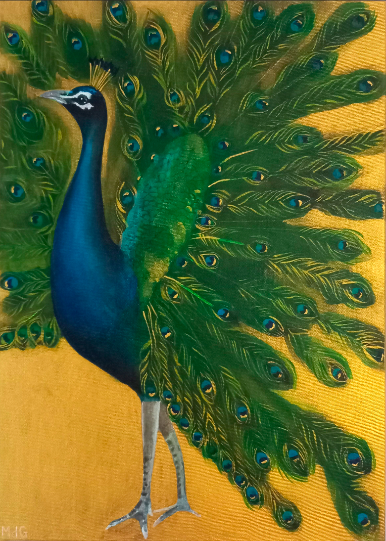 Blue Peacock