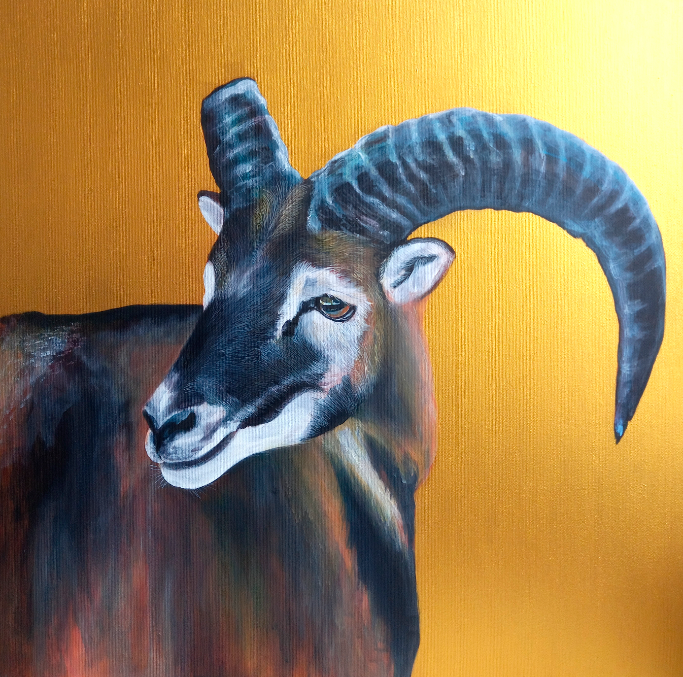 Ibex